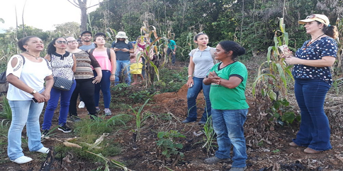 Semanadeaberturapdtsa20191.8