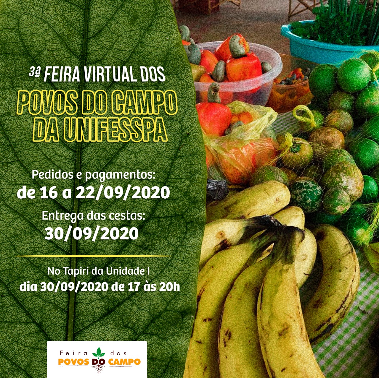 III Feira virtual dos povos do campo