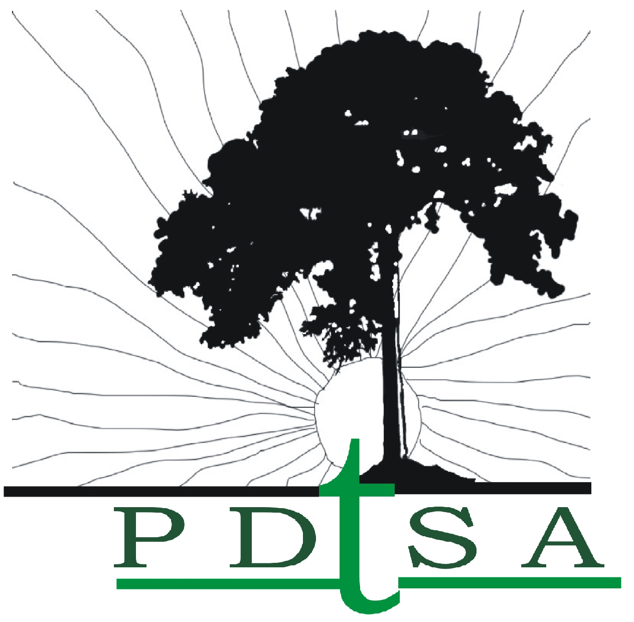 pdtsa 