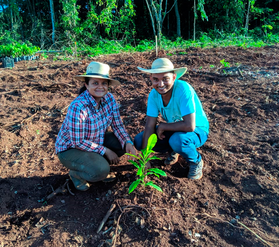 sistema agroflorestais