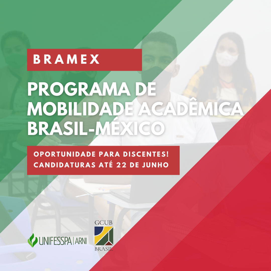 BRAMEX 8