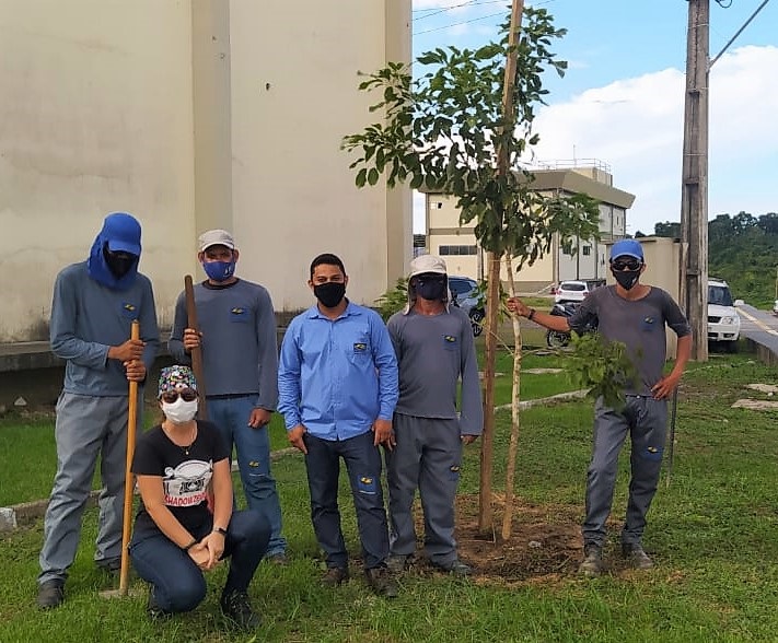 equipe sinfra transplante